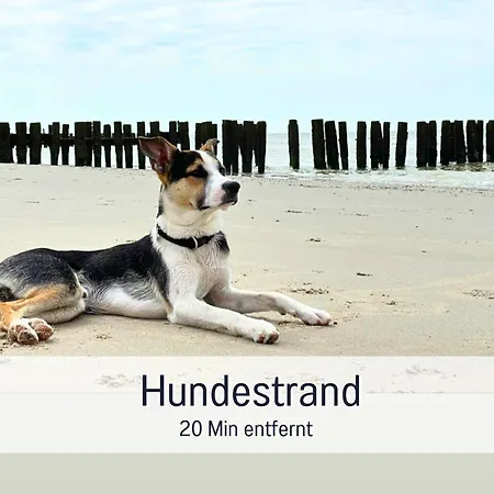 Wahlheimat Haffkrug, Strandnaher Ostseeurlaub, Terrasse, Tiefgarage Und Wlan 沙博伊茨